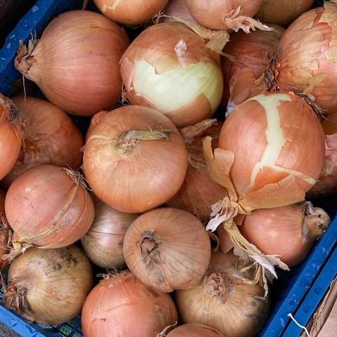 Onions