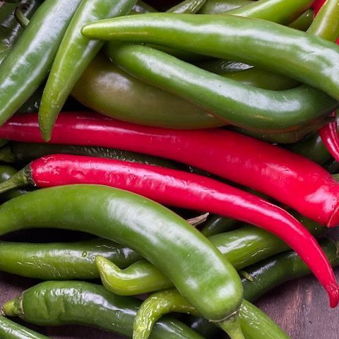 Red & Green Chillies