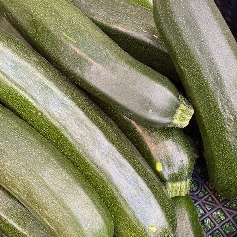 Courgettes