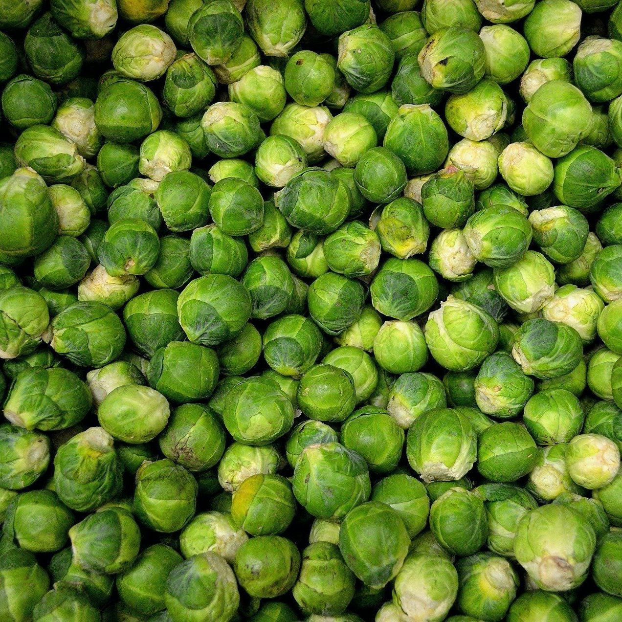 Sprouts