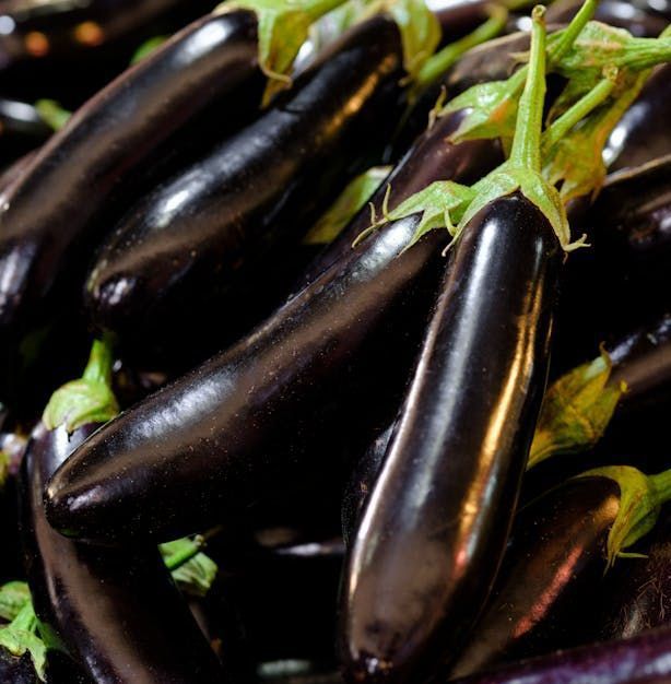 Aubergines