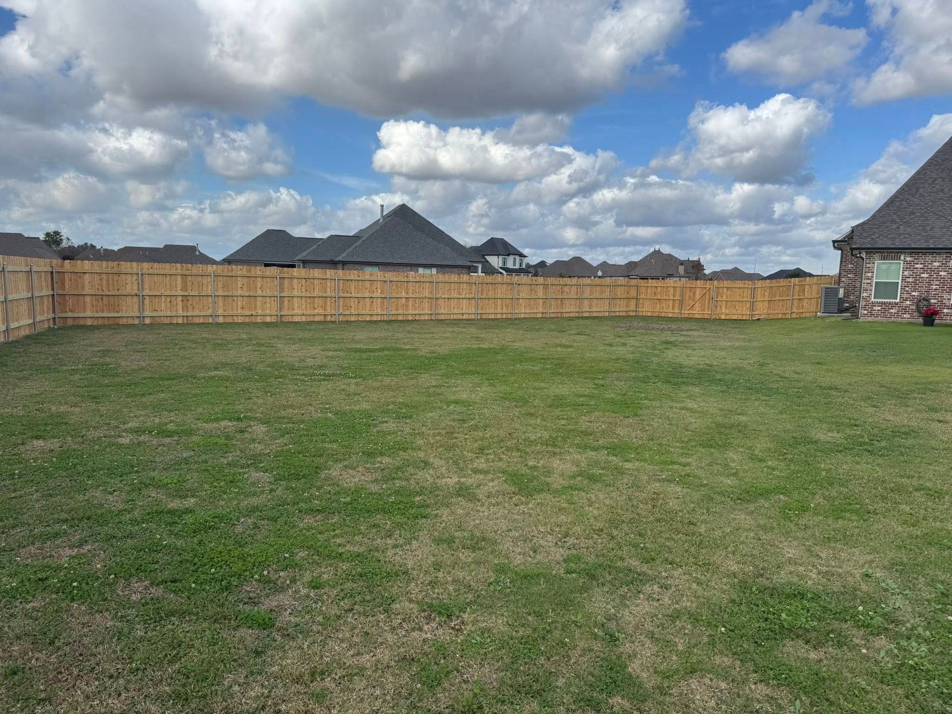 Green backyard with wooden fence under a cloudy blue sky. Houses in the background.