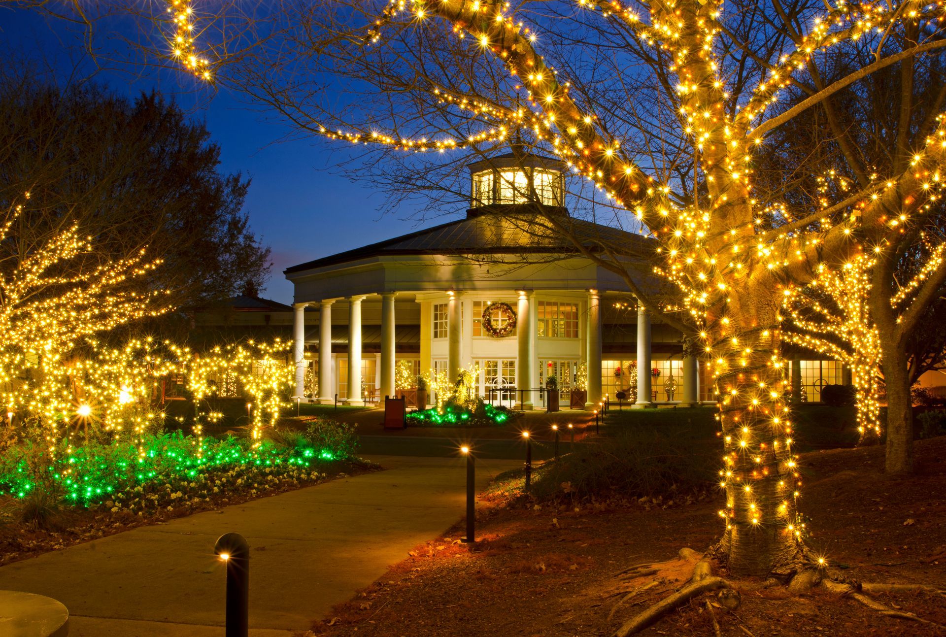 christmas lighted displays