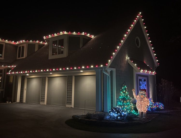 led christmas lights
