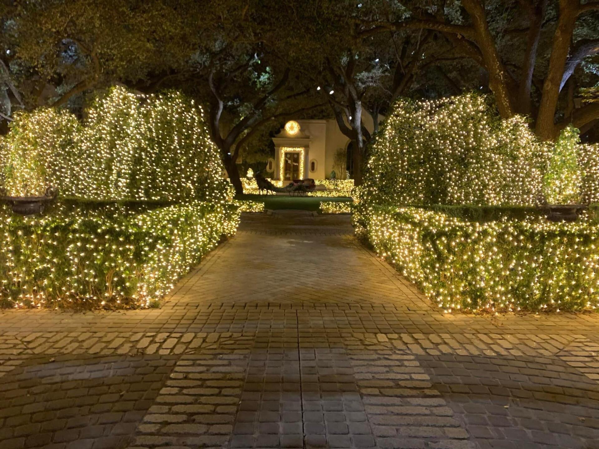 A brick walkway with trees and bushes covered in christmas lights