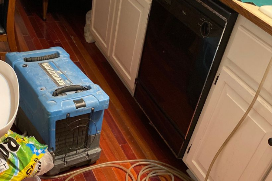 Professional water damage drying equipment in Springfield home