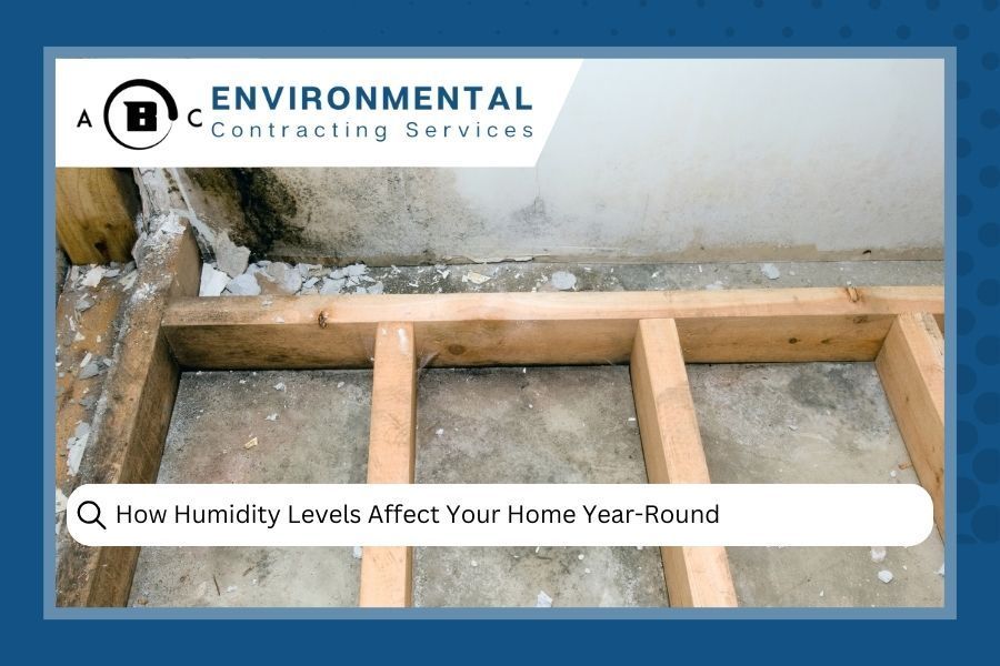 Mold growth on walls and wood framing, ABC Environmental Services logo, text