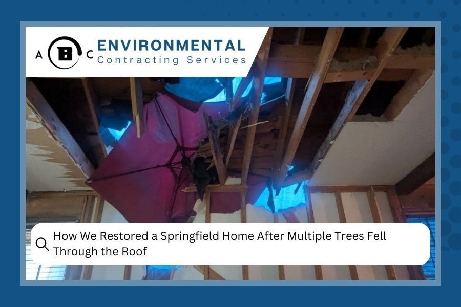 Home interior with roof damage after trees fell. Pink and blue tarp covers exposed beams, walls.