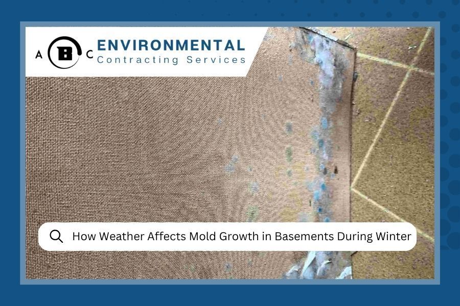 Mold growth on basement wall with Environmental Contracting Services logo. Headline:
