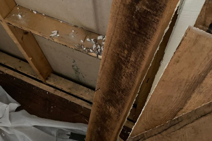 Hidden mold growth behind drywall