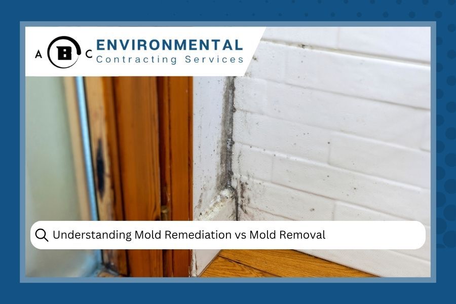 An ABC Environmental Contracting Services graphic about mold remediation versus removal shows mold on a wall and doorframe.