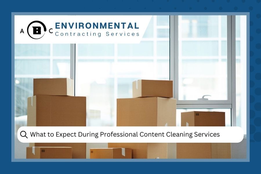 Boxes in an office. Text: What to Expect During Professional Content Cleaning Services, and company logo.
