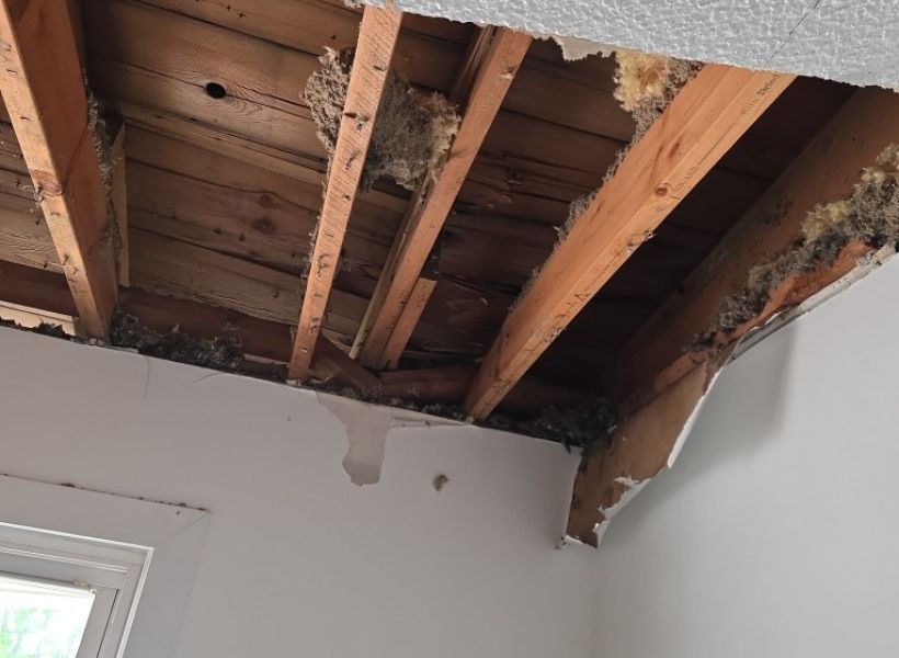ceiling water damage 2
