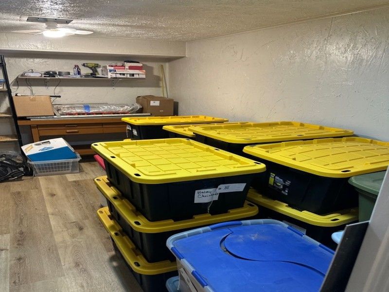 Successfully restored basement room
