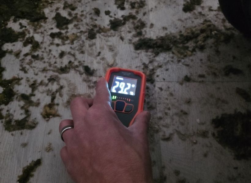 flooring water damage - moisture reading