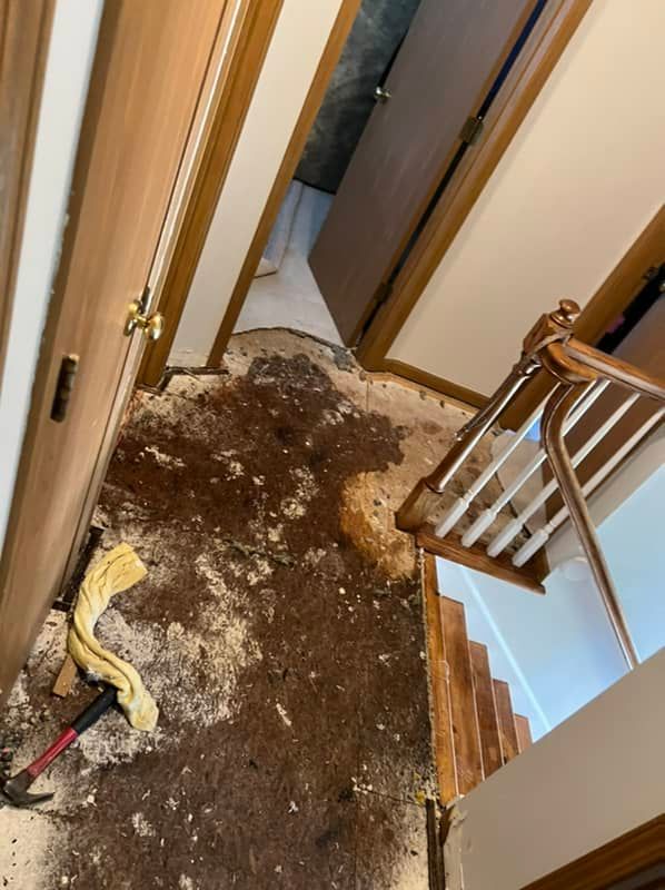 flooring water damage