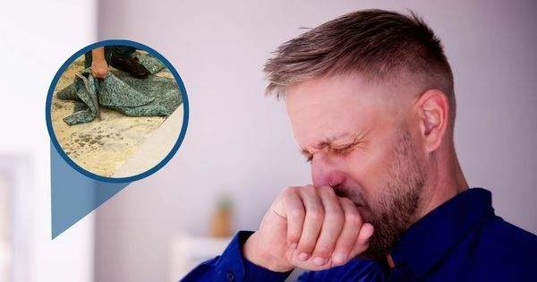 how to get water smell out of carpet