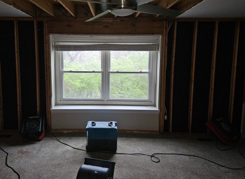 living room post mitigation