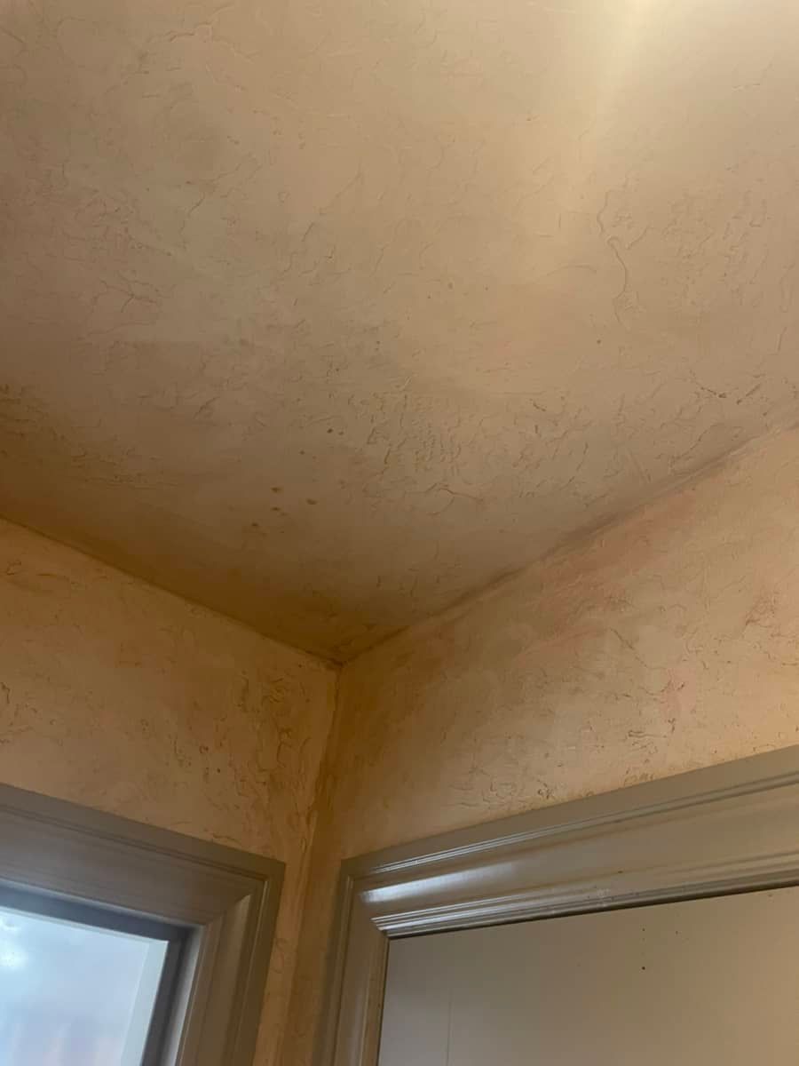 mold in home