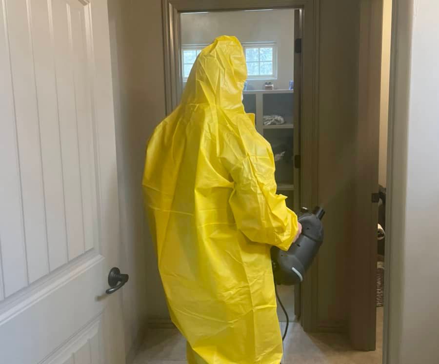 mold removal in progress by ABC Springfield professional