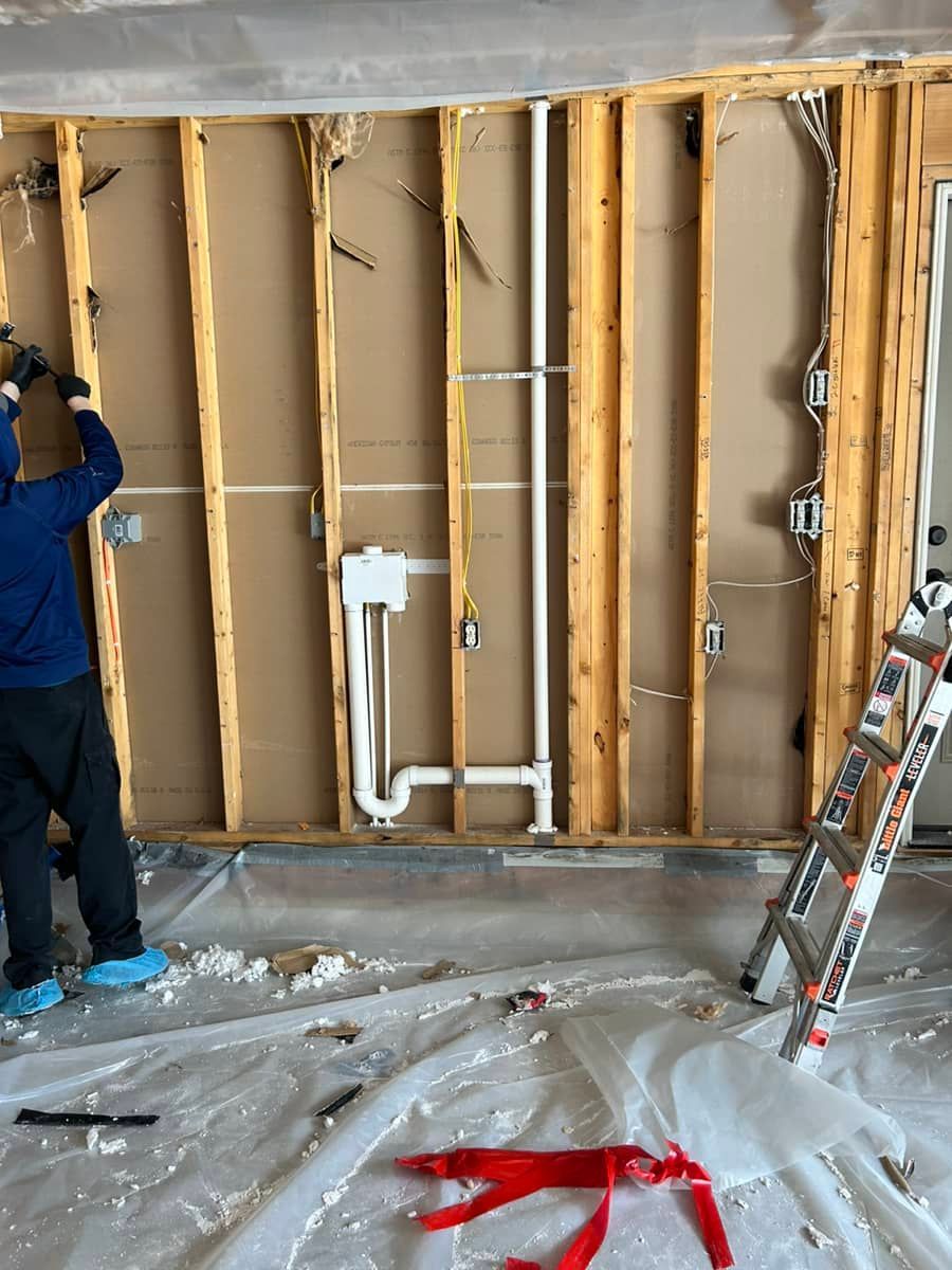 mold removal technician