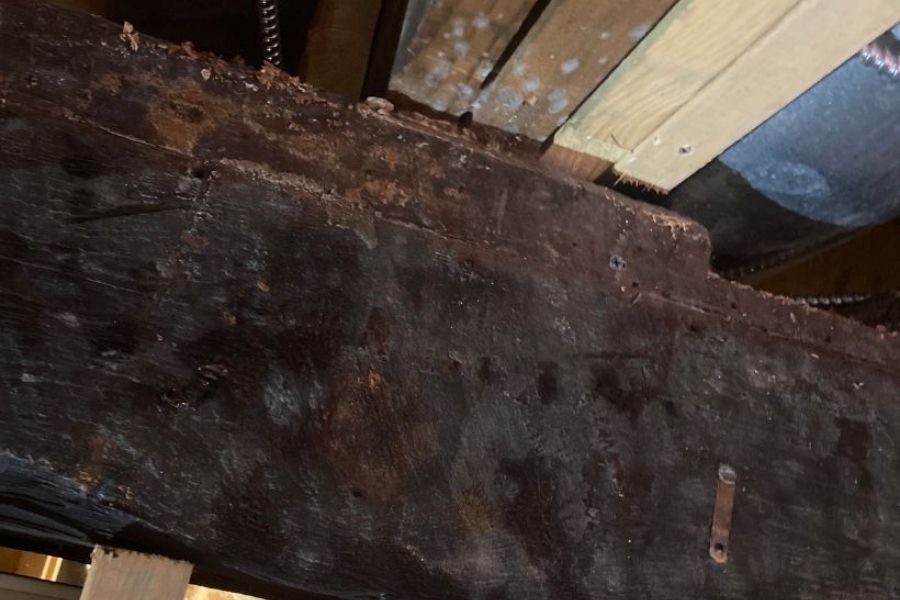 Mold growth on basement support beam