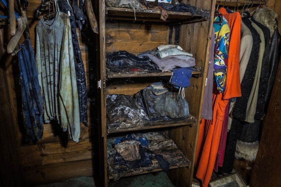 Professional content cleaning for mold-damaged items