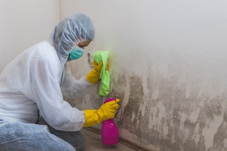 Homeowner assessing small mold patch for DIY cleanup