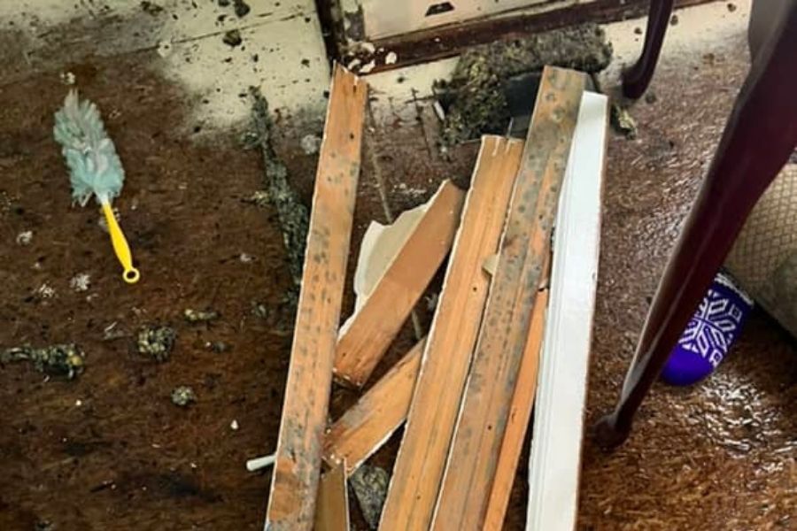 Mold on basement baseboard after water damage