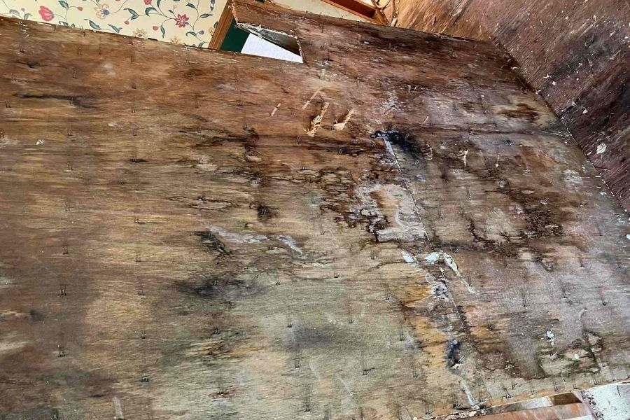 Severe water damage on basement subfloor