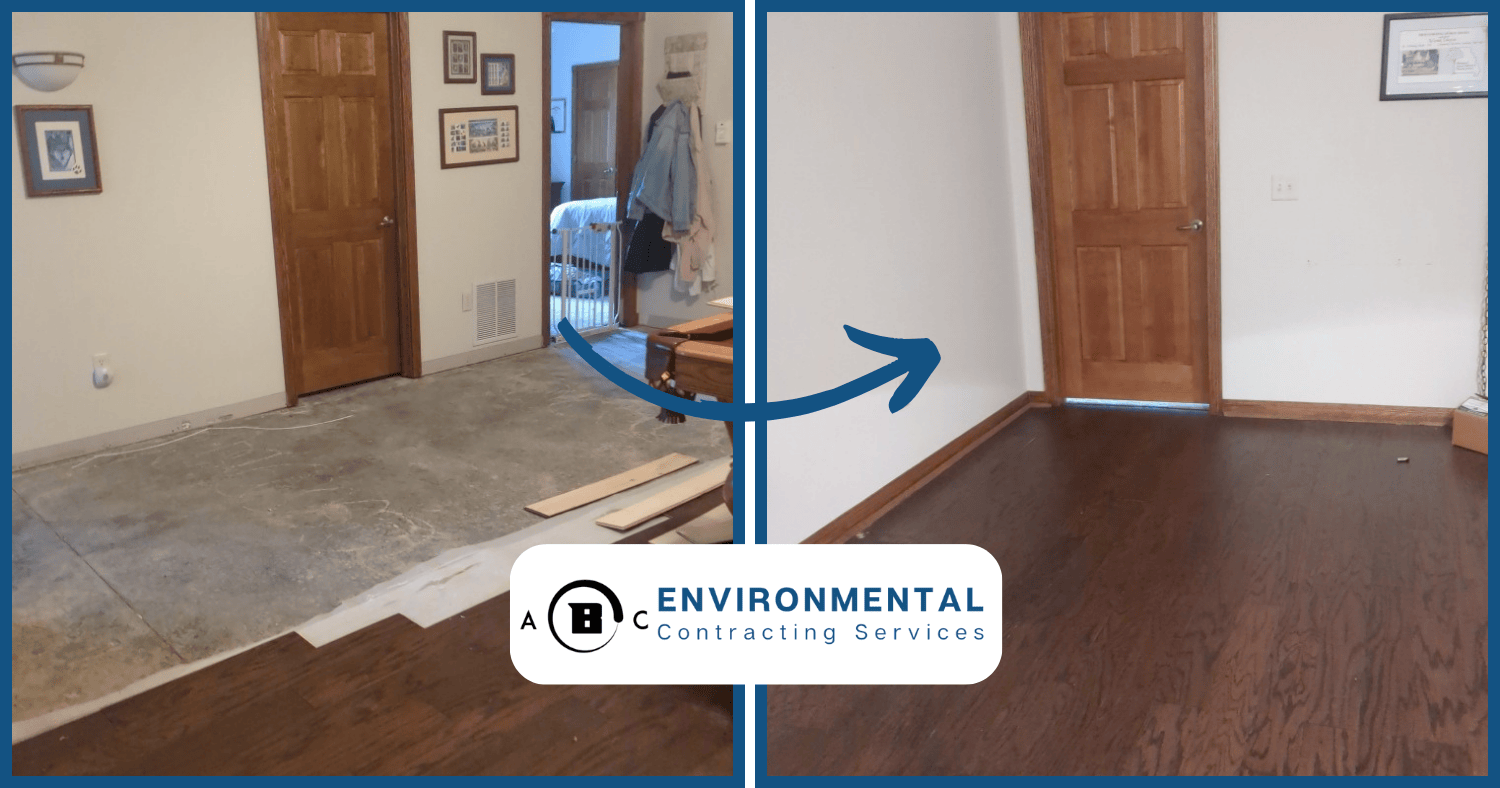 sewage damage in Springfield