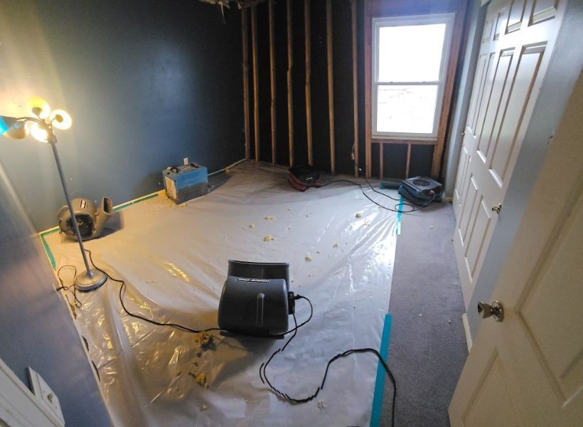 thorough drying of the water-damaged area