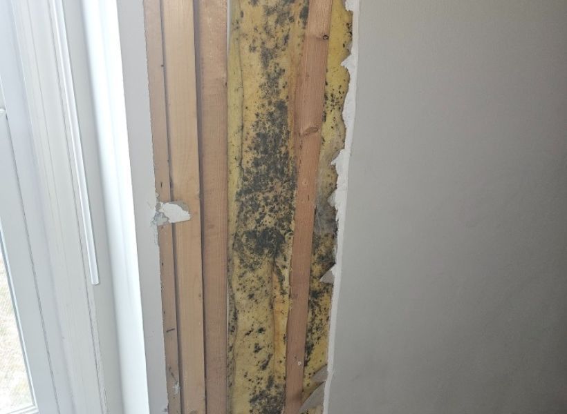 water-damaged materials