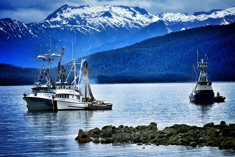 Juneau Boats