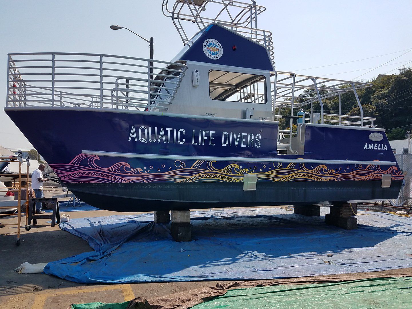 amelia life dive boat