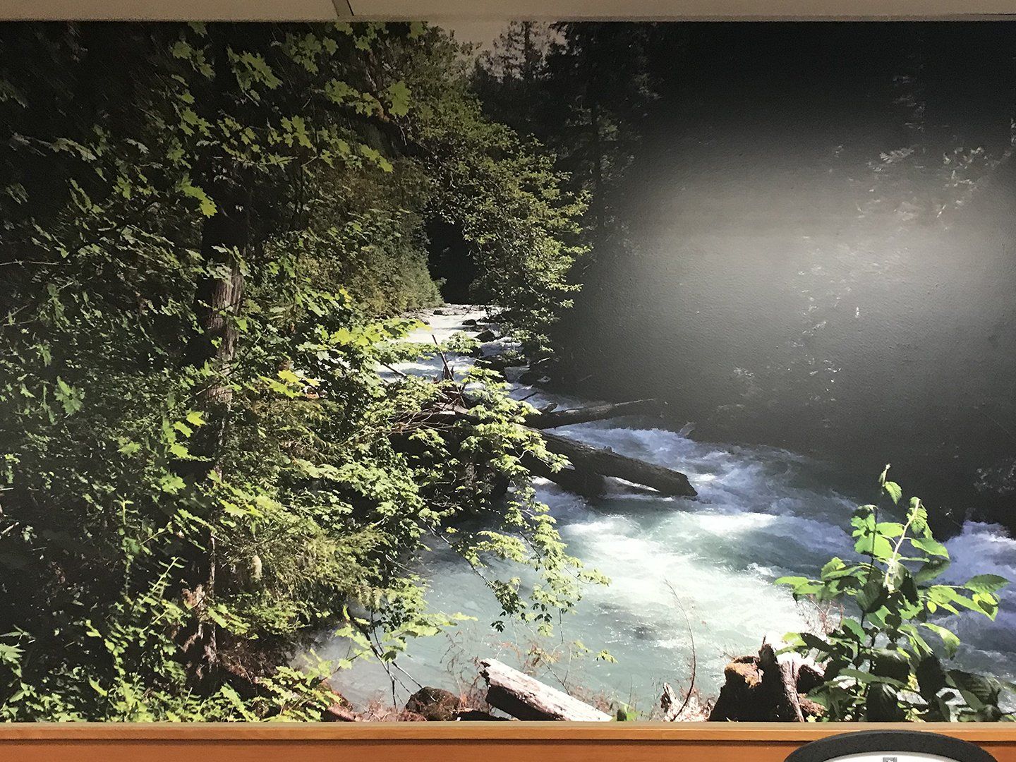 bellingham international airport wall graphics