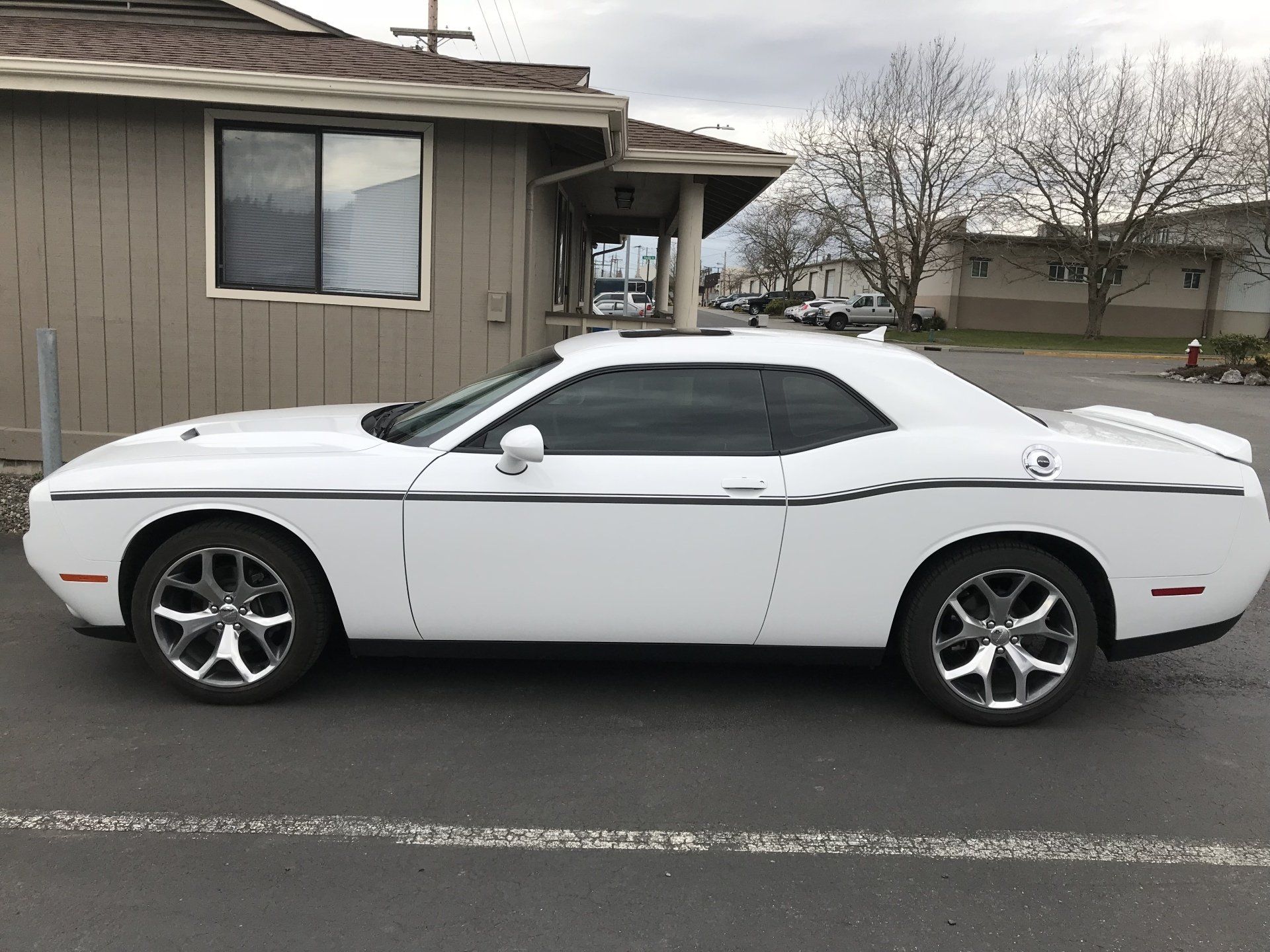 dodge challenger with vinyl graphics