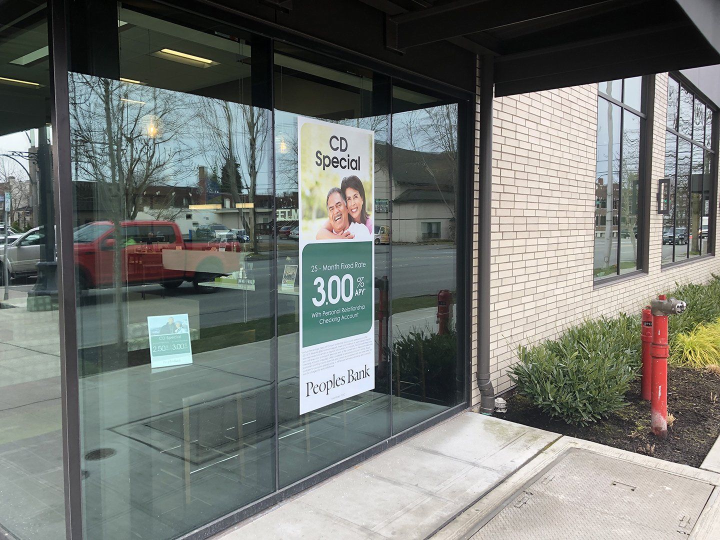 vinyl window graphics