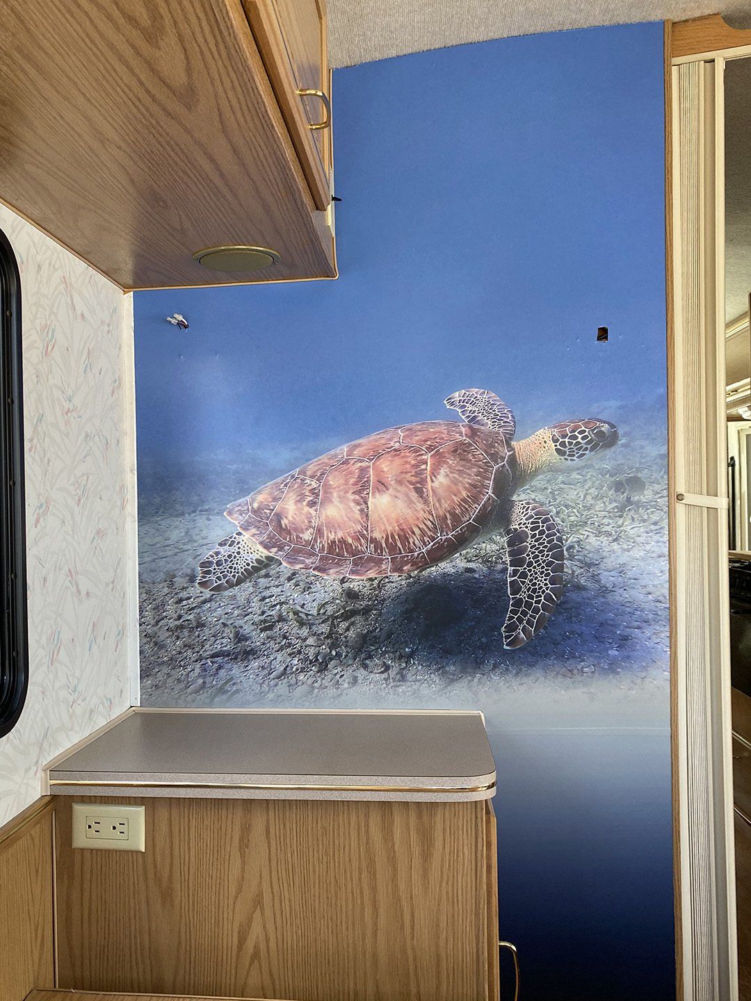 wall graphic turtle
