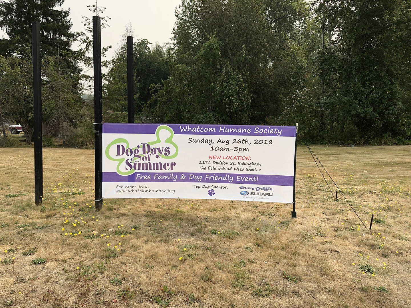 whatcom humane society sign