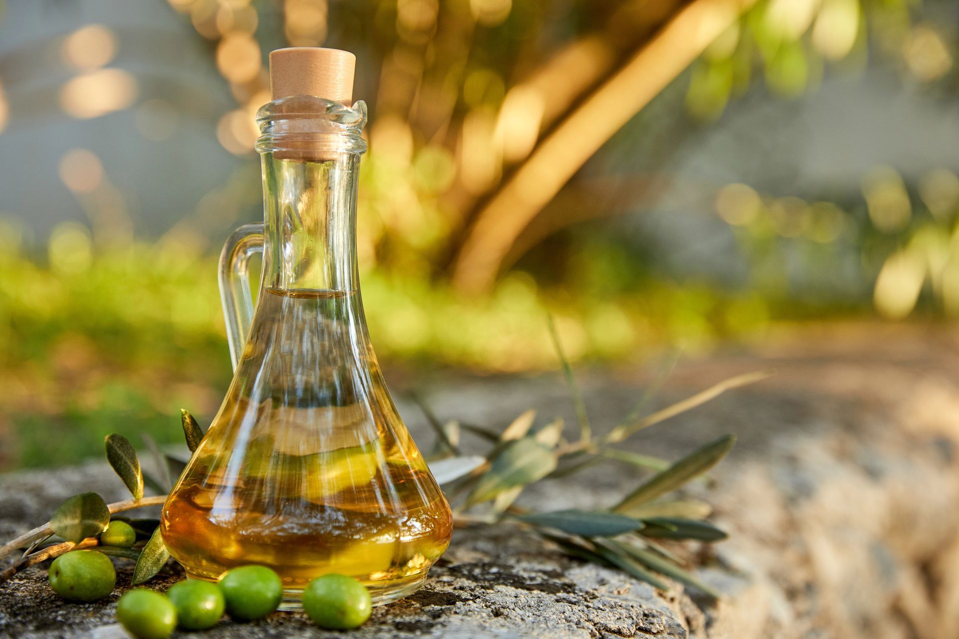 piantagione di olivi