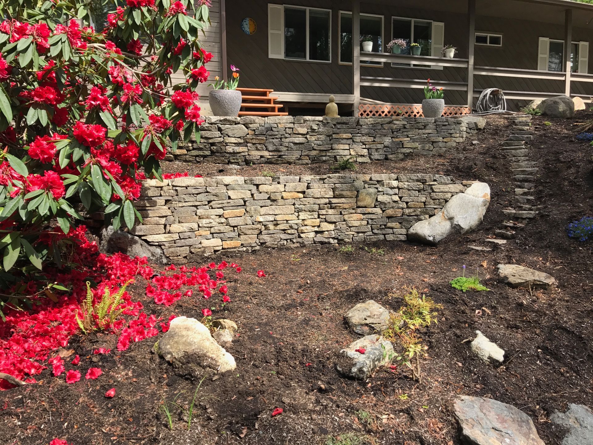 Stone retaining walls in front of a house, with red flowering bushes and scattered rocks in a mulched garden; work by West Coast Landscape & Hardscape. 