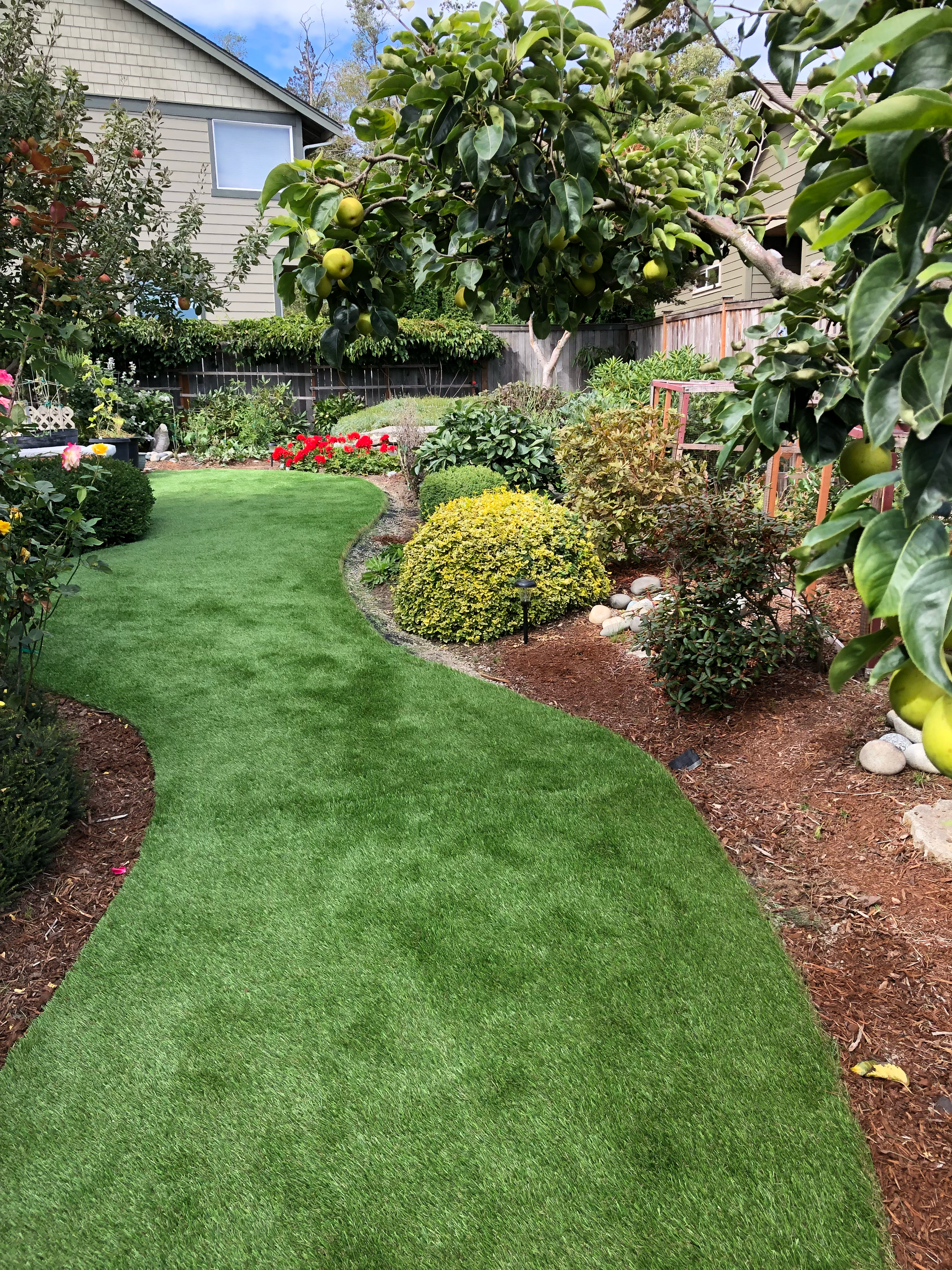 A winding green artificial turf path through a garden with colorful plants and trees; work by West Coast Landscape & Hardscape. 