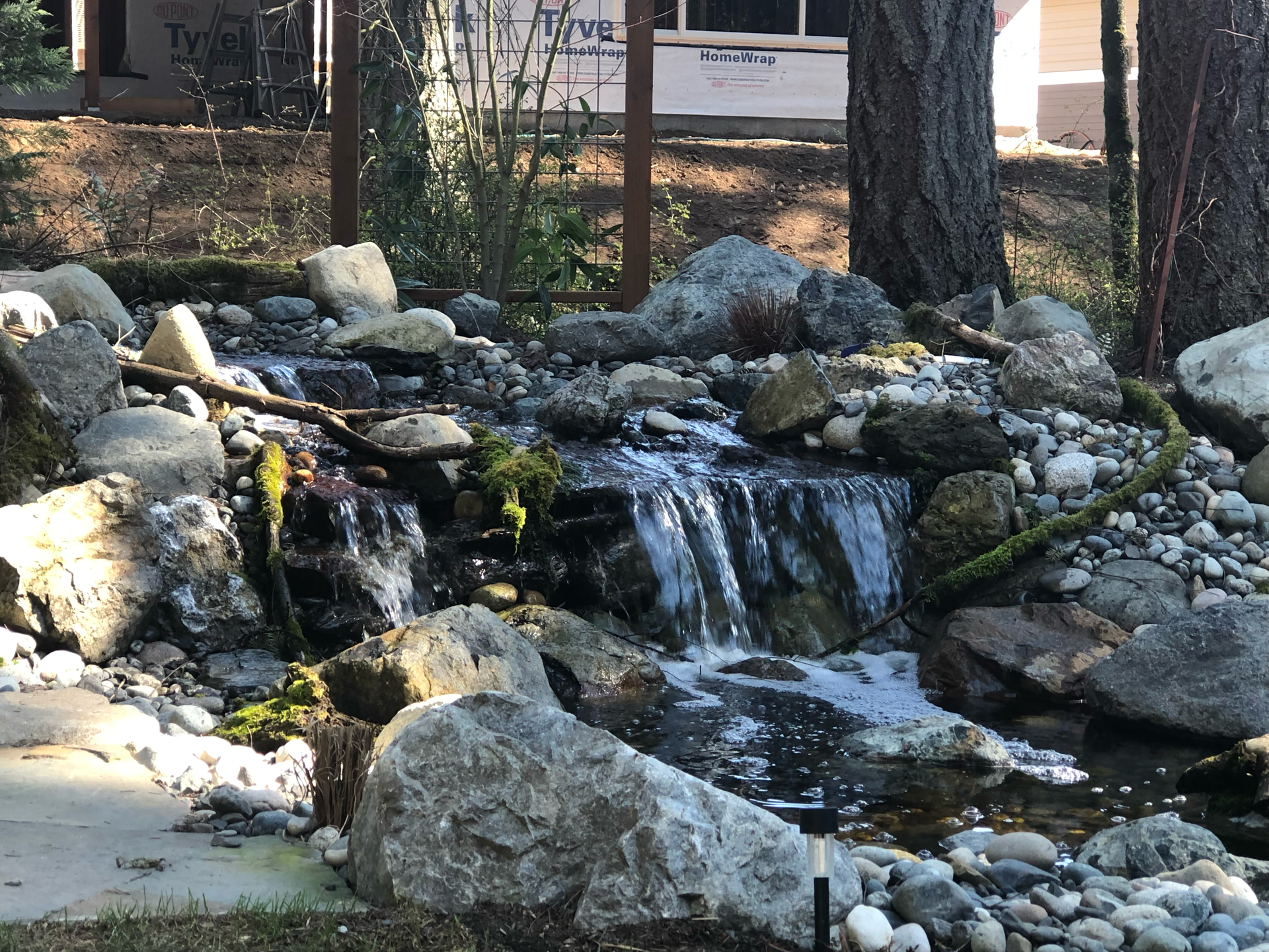 Small waterfall cascading over rocks in a garden setting, with green moss and a tree; work by West Coast Landscape & Hardscape. 