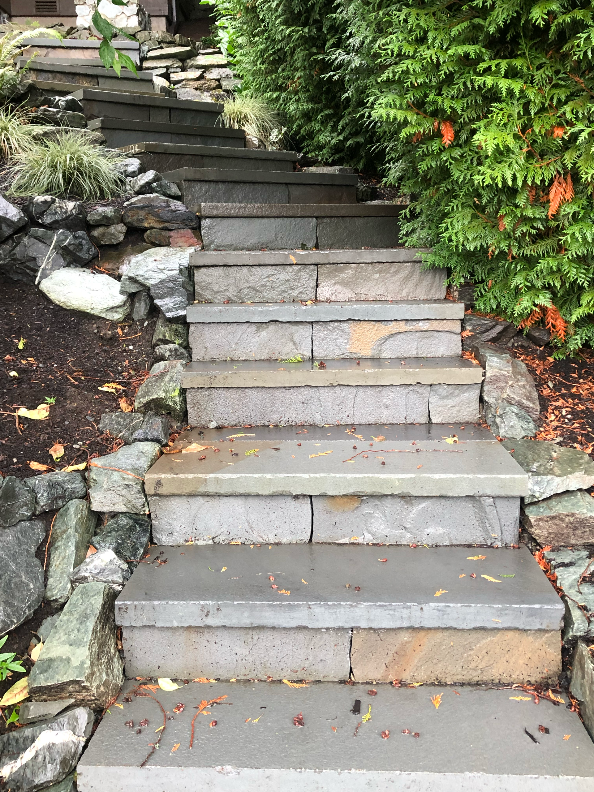 Stone steps leading uphill, flanked by greenery and rocks; work by West Coast Landscape & Hardscape. 