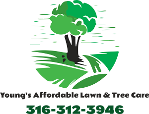 Young's Affordable Lawn and Tree Care LLC