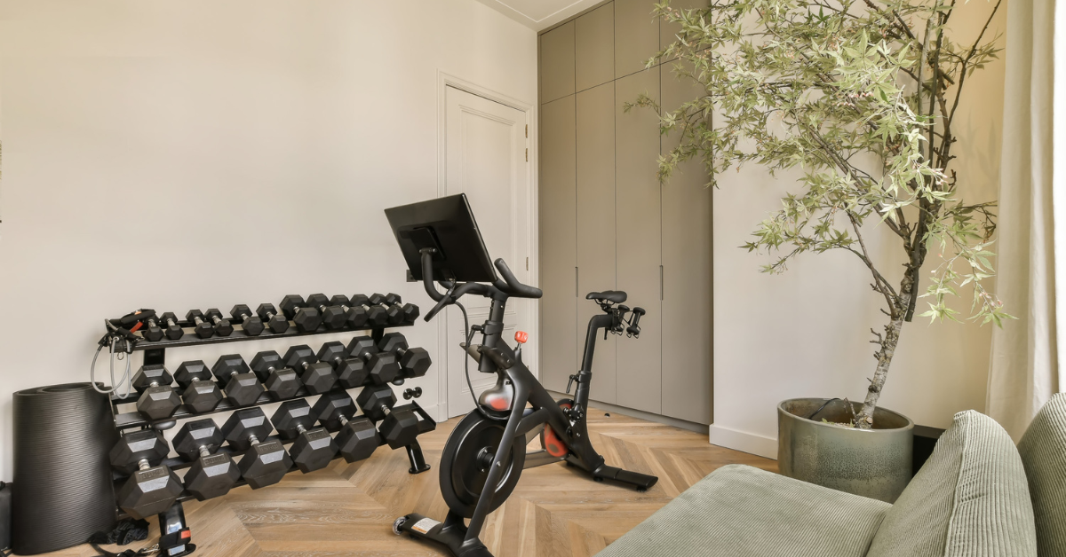 A living room with a couch , a bicycle , a dumbbell rack and a tree.