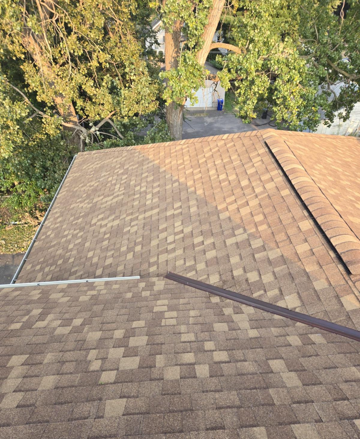 An aerial view of a roof with a tree in the background.