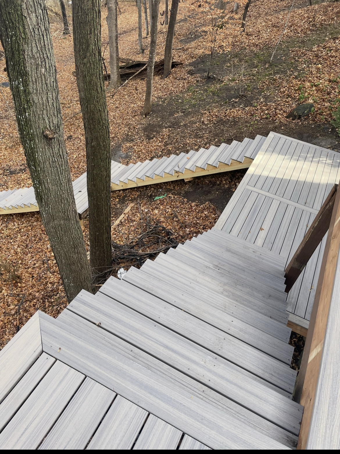 A set of stairs leading up to a wooden deck in the woods