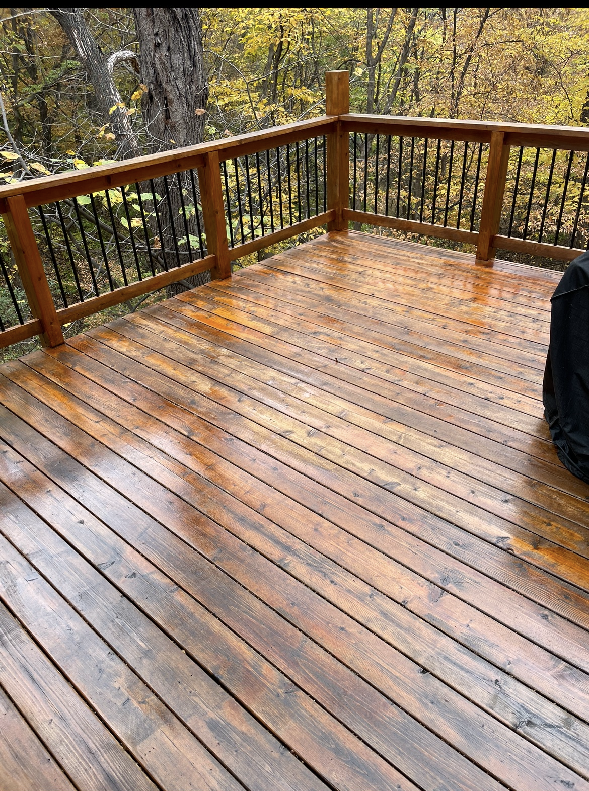 A wooden deck with a railing and trees in the background.